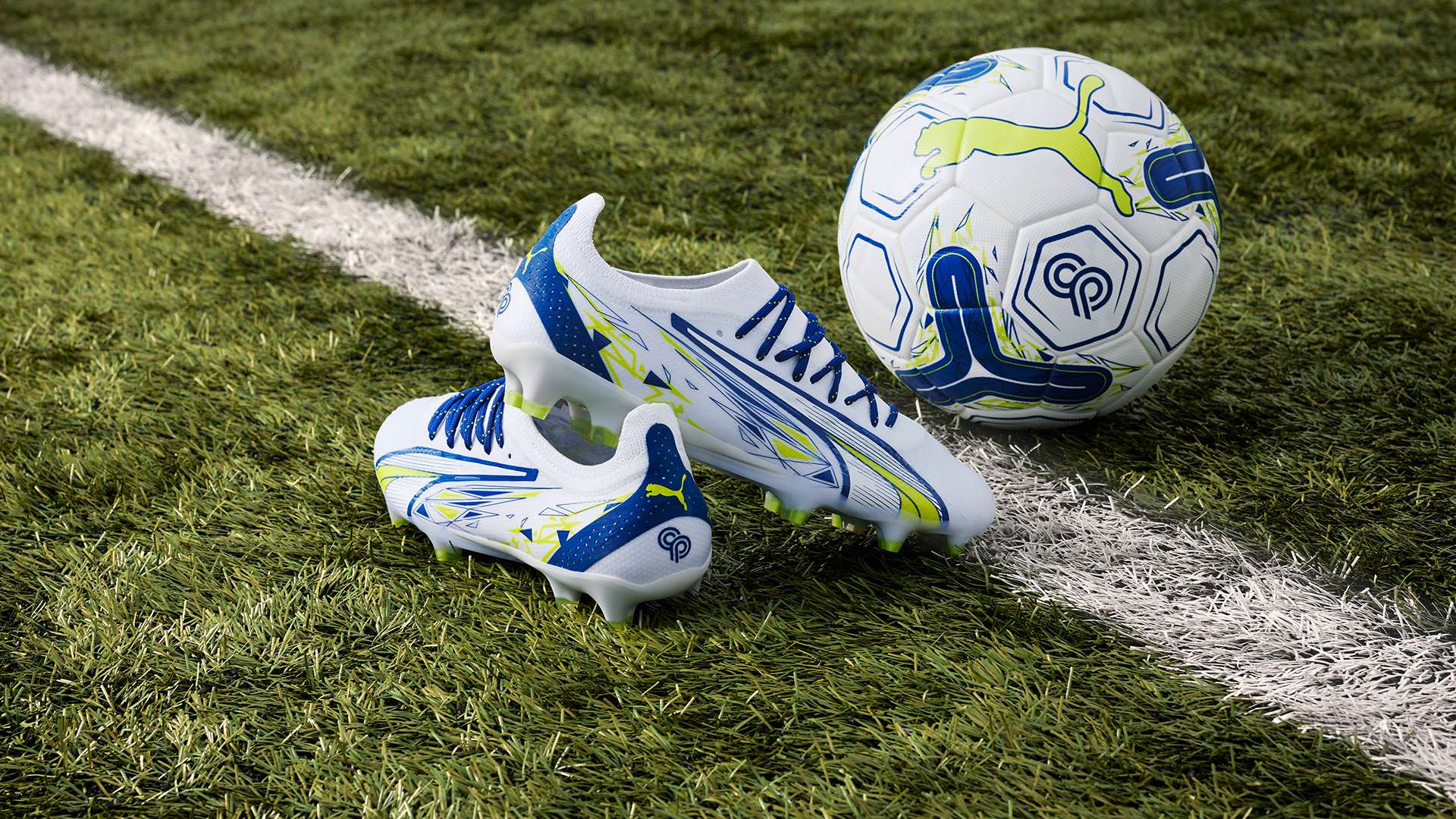 仅仅是两支 仅仅是两支