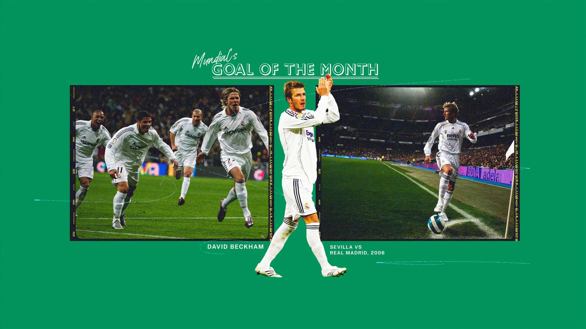 以看到两位 以看到两位