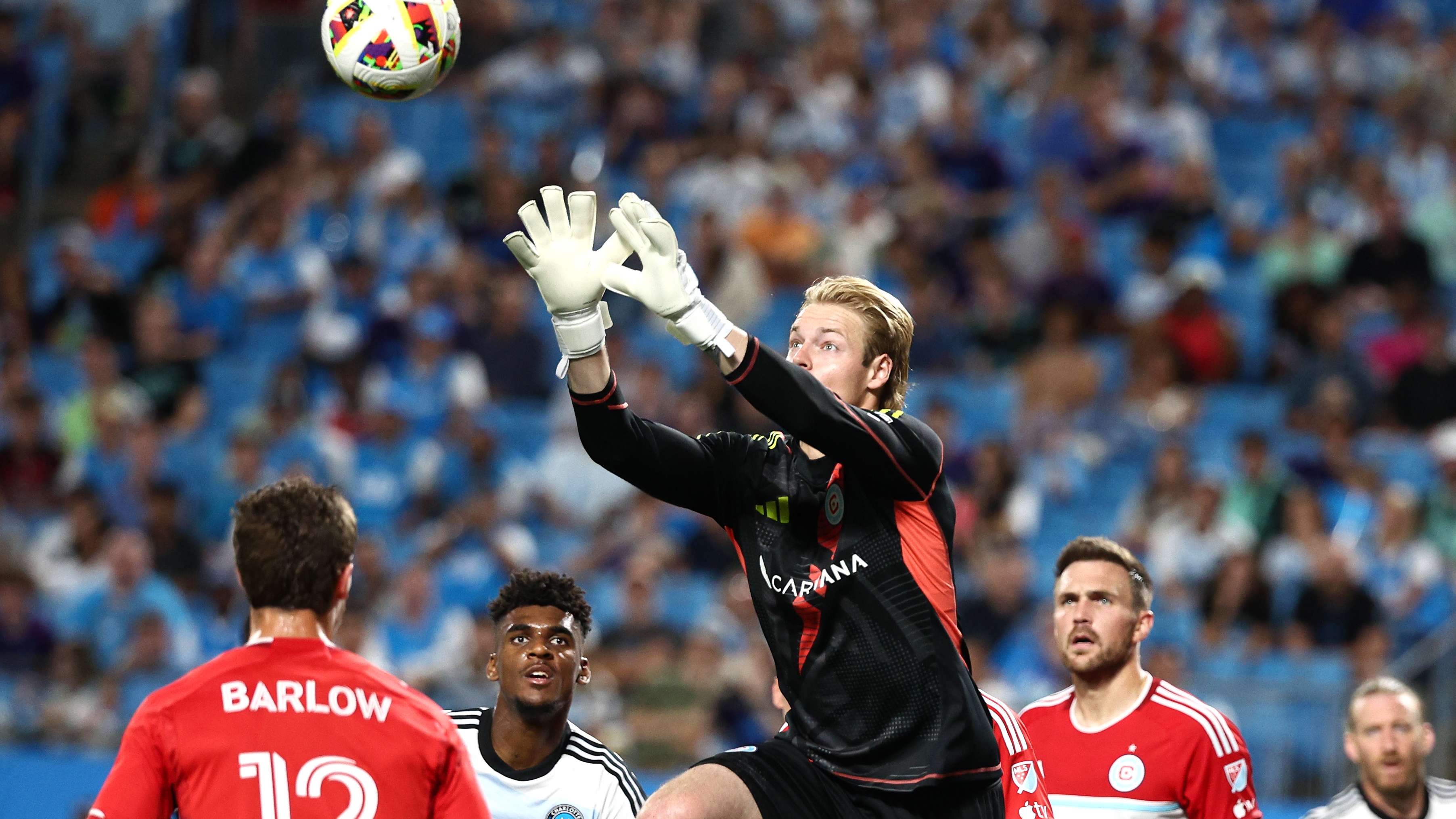 的無限可能 的無限可能