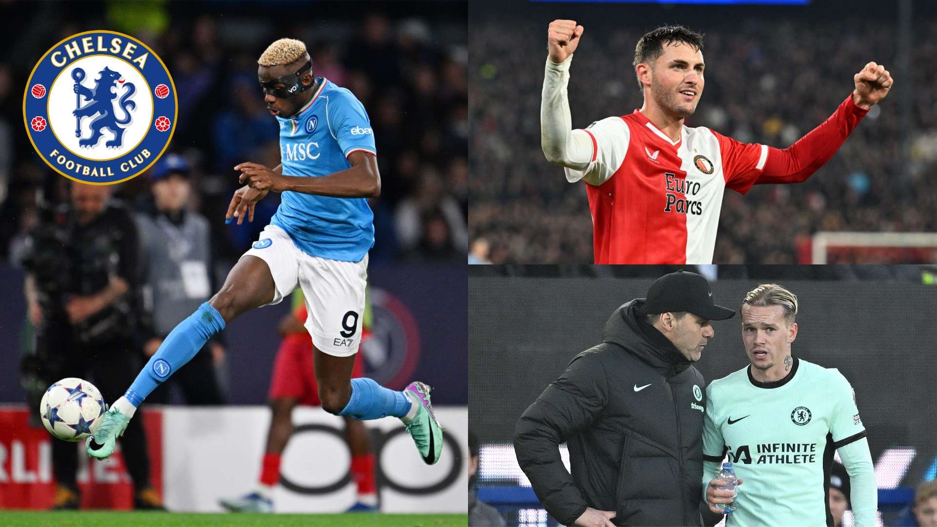 完美胜利 完美胜利