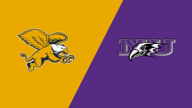 对灰熊的统 对灰熊的统